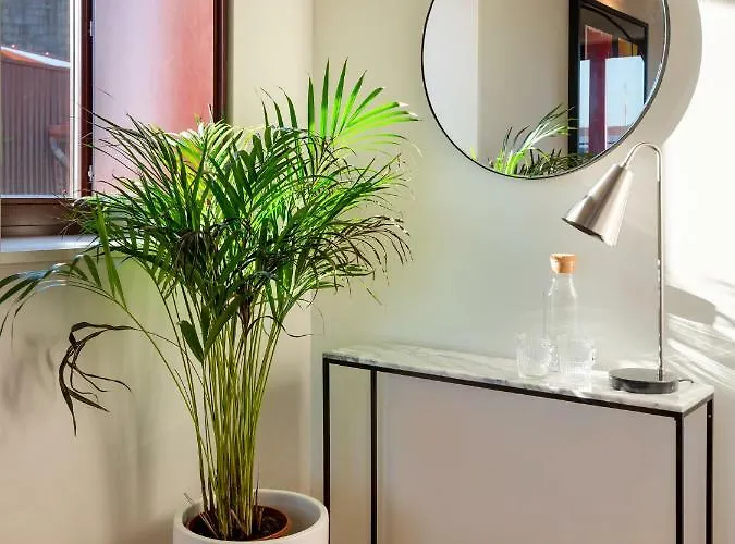 Domum 3 * פורטו